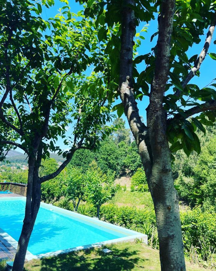 Quinta das Ameixas - Country&Nature Arouca Exterior foto