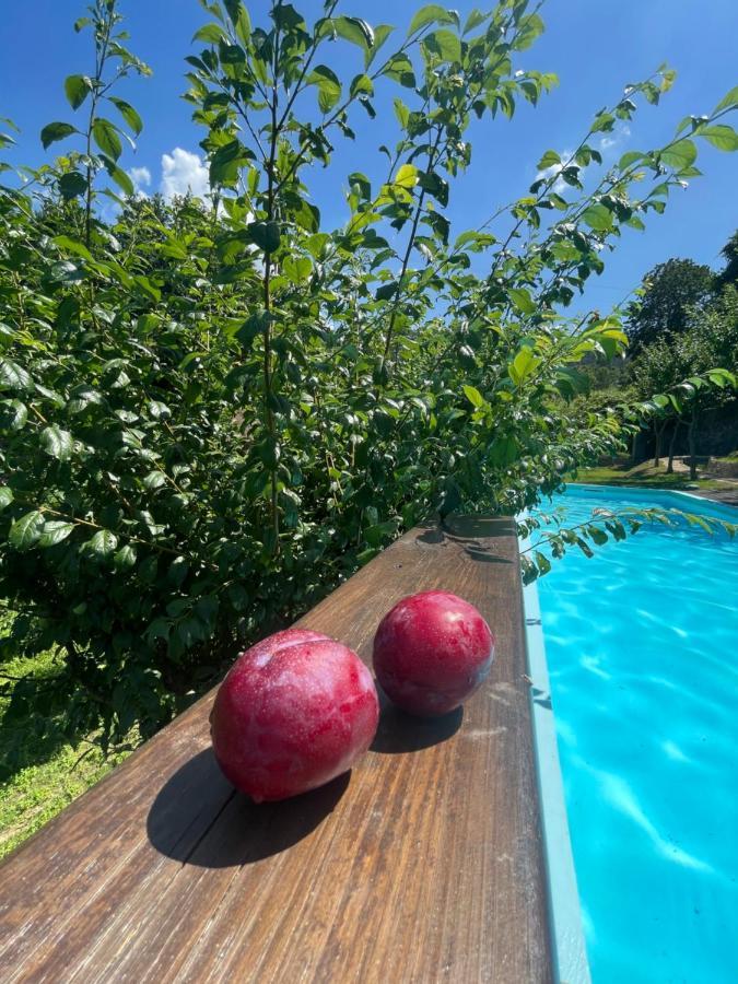 Quinta das Ameixas - Country&Nature Arouca Exterior foto