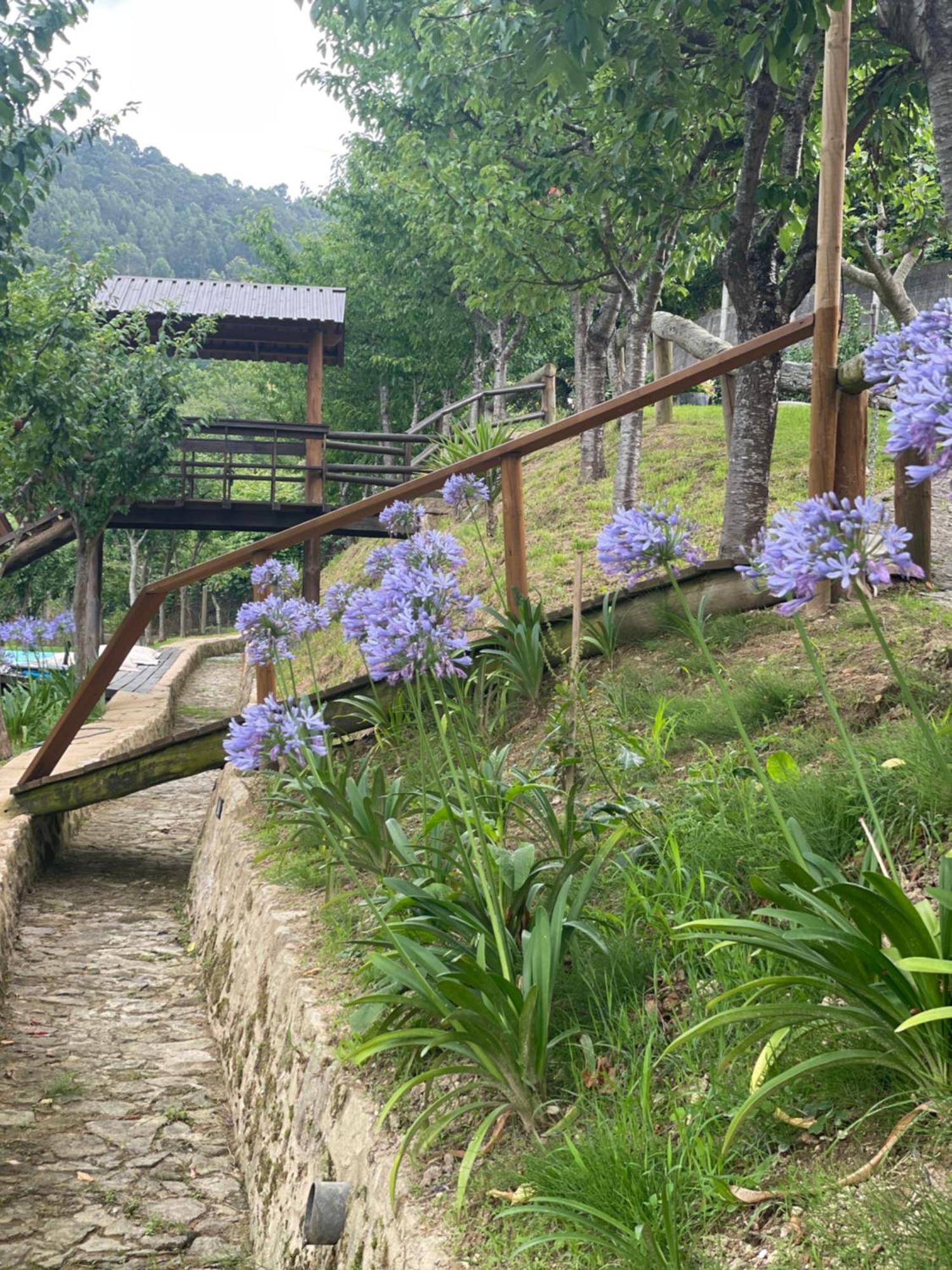 Quinta das Ameixas - Country&Nature Arouca Exterior foto